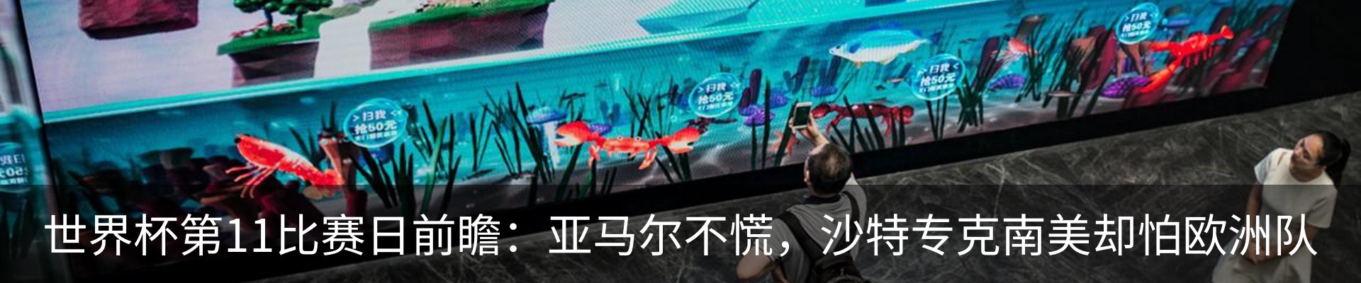 最新动态